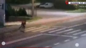 VIDEO Copil lovit pe trecere, șoferi nepăsători. Victima de 11 ani a ajuns la spital cu răni la cap
